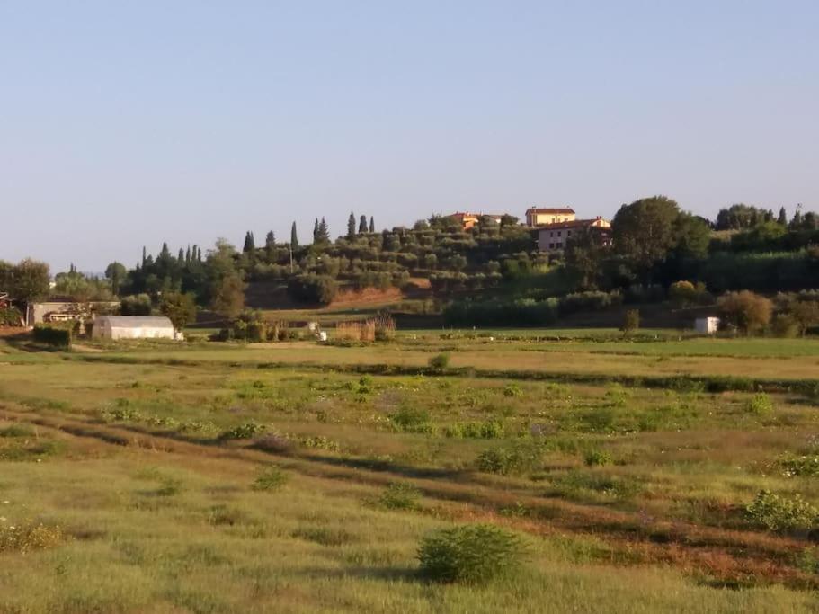 Podere Gian Battaglia 富切基奥 外观 照片