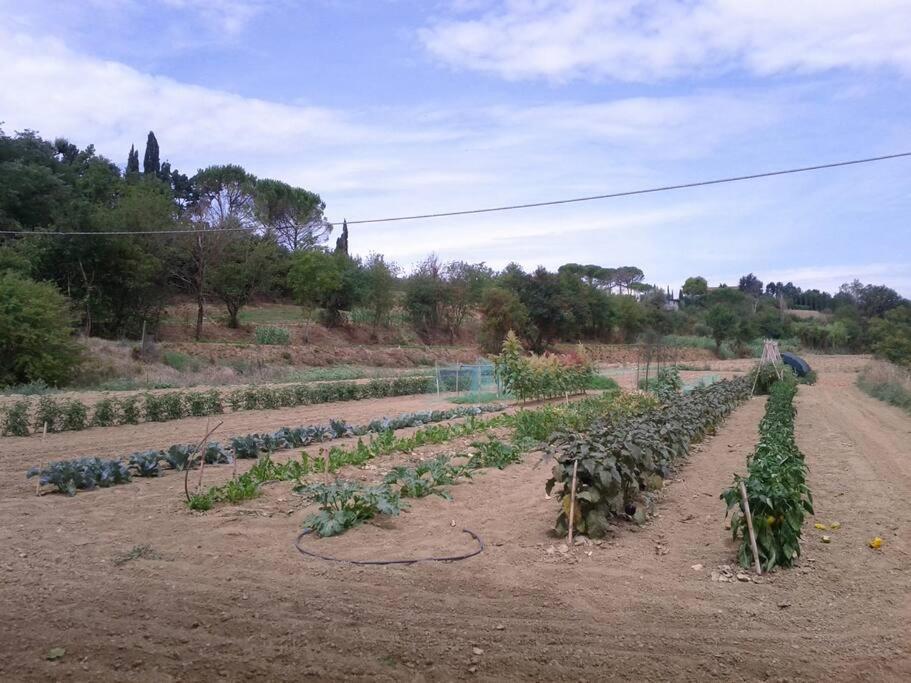 Podere Gian Battaglia 富切基奥 外观 照片