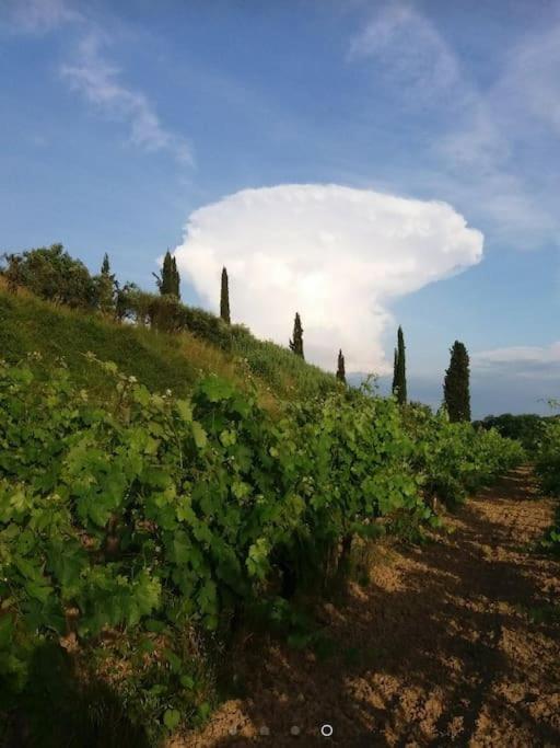 Podere Gian Battaglia 富切基奥 外观 照片