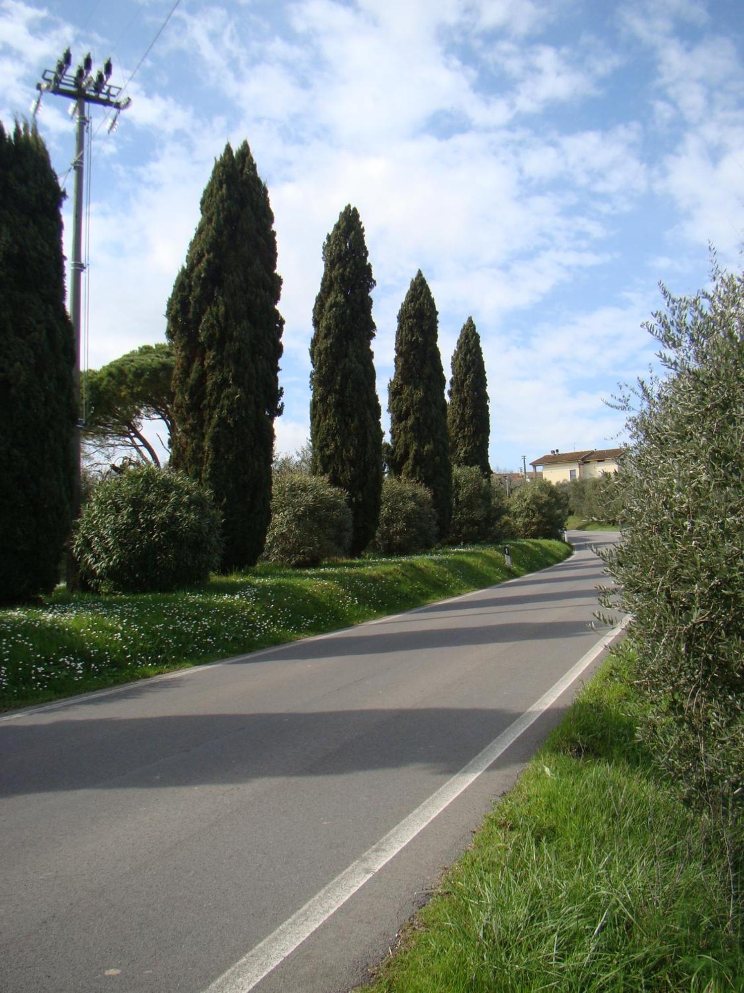 Podere Gian Battaglia 富切基奥 外观 照片