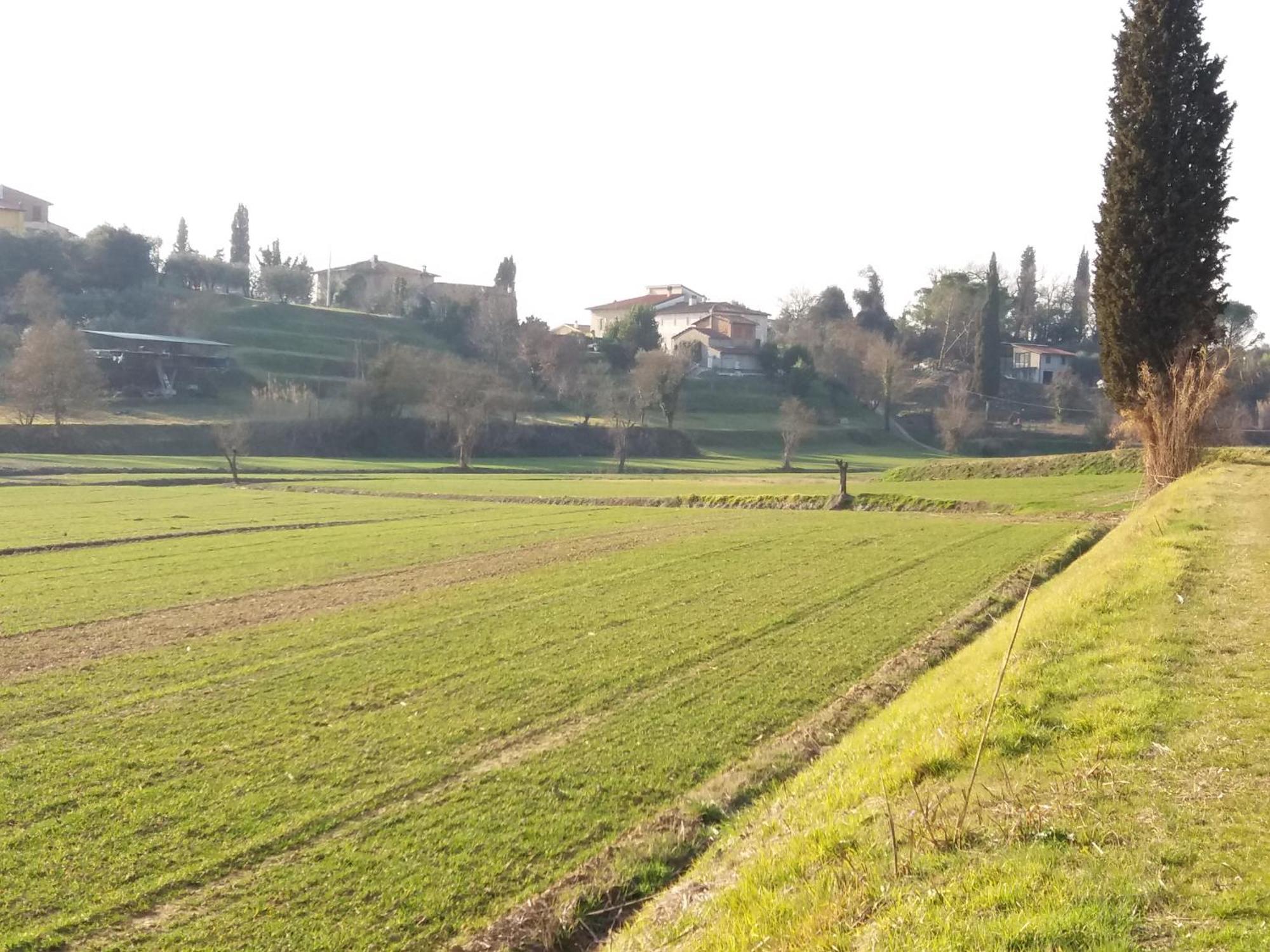 Podere Gian Battaglia 富切基奥 外观 照片