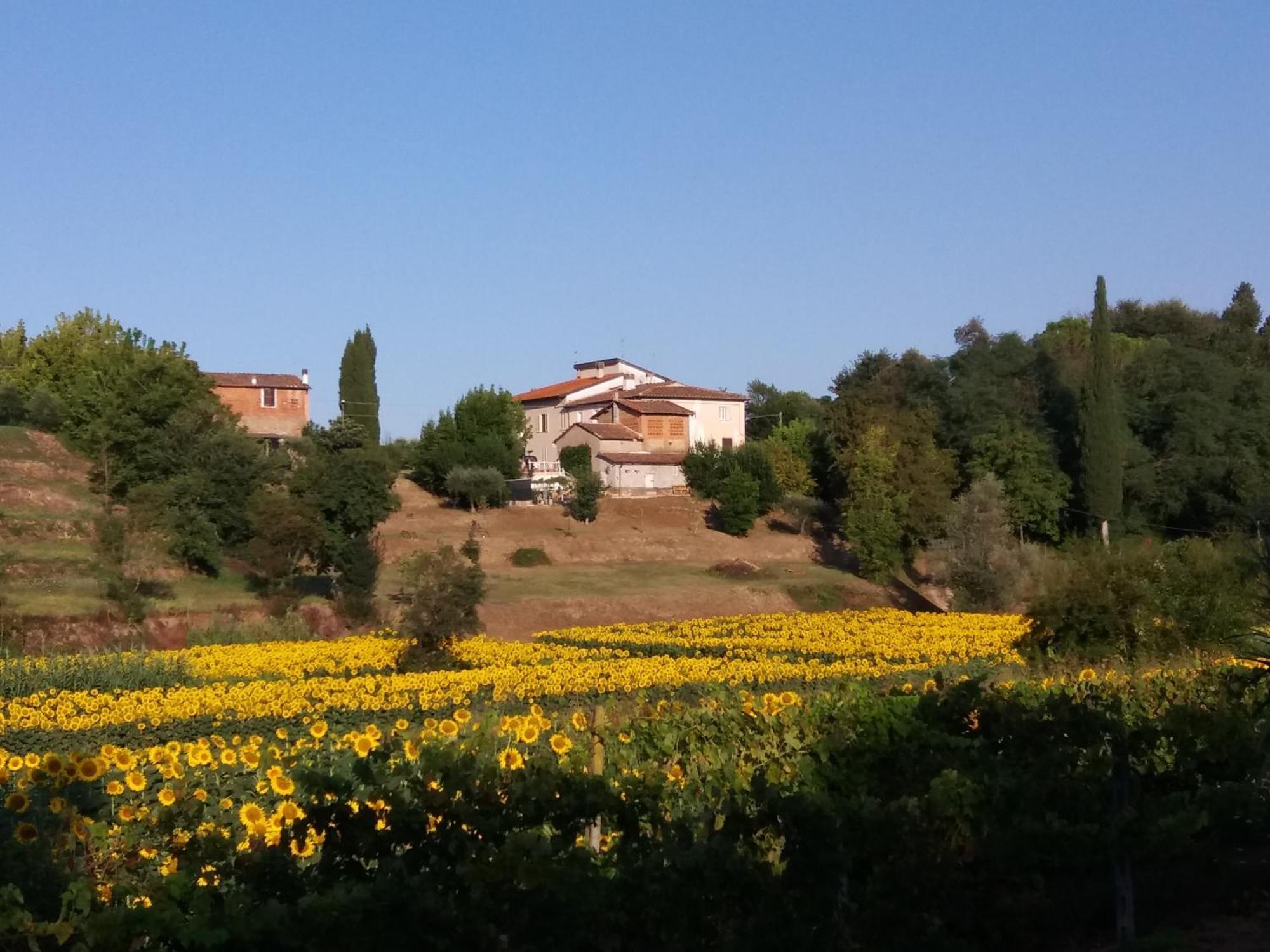 Podere Gian Battaglia 富切基奥 外观 照片