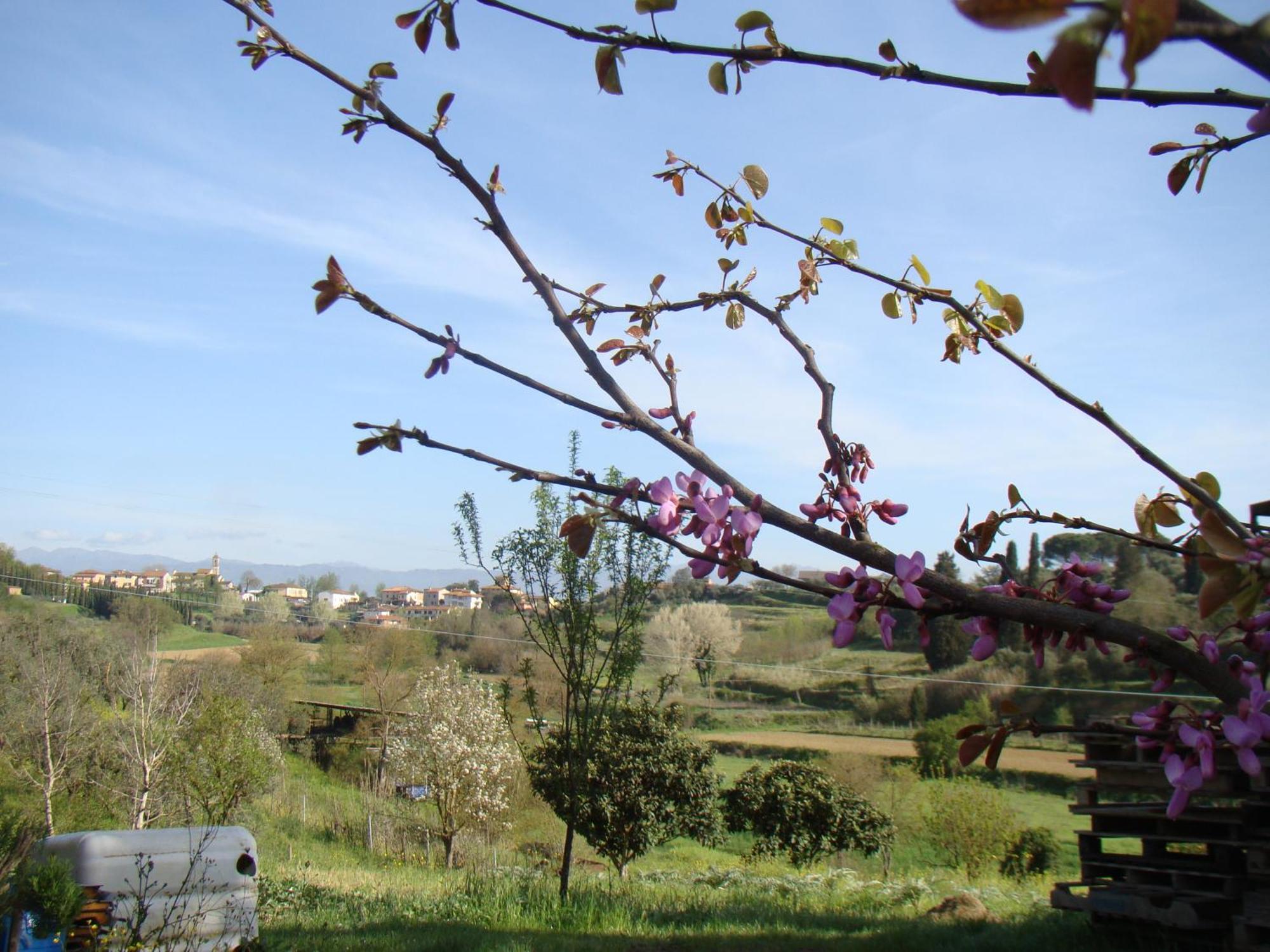 Podere Gian Battaglia 富切基奥 外观 照片